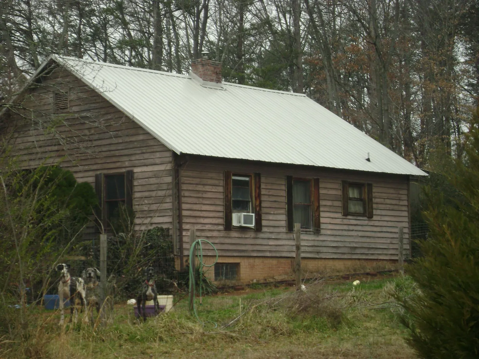 White metal roof on an old wood sided farmhouse, from a Metal Roof Installation job in Vernonia